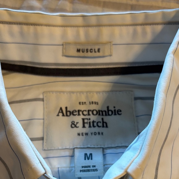 Abercrombie & Fitch White and Gray Muscle Fit Striped Button-Down Shirt - Picture 3 of 6